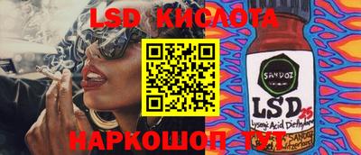spice Камышлов