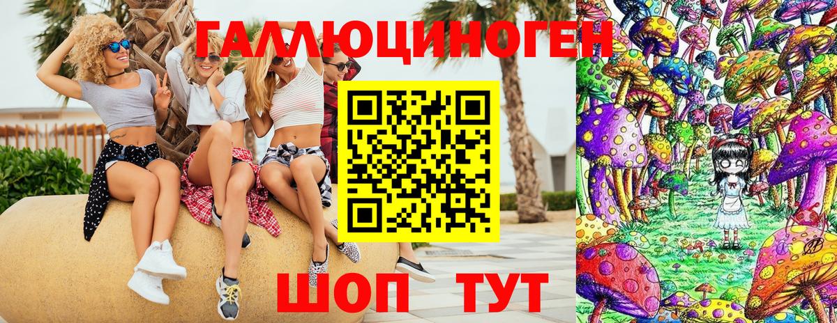 Псилоцибиновые грибы Psilocybe  Вход с VPN  сколько стоит  Псилоцибиновые грибы Magic Shrooms  Минусинск 